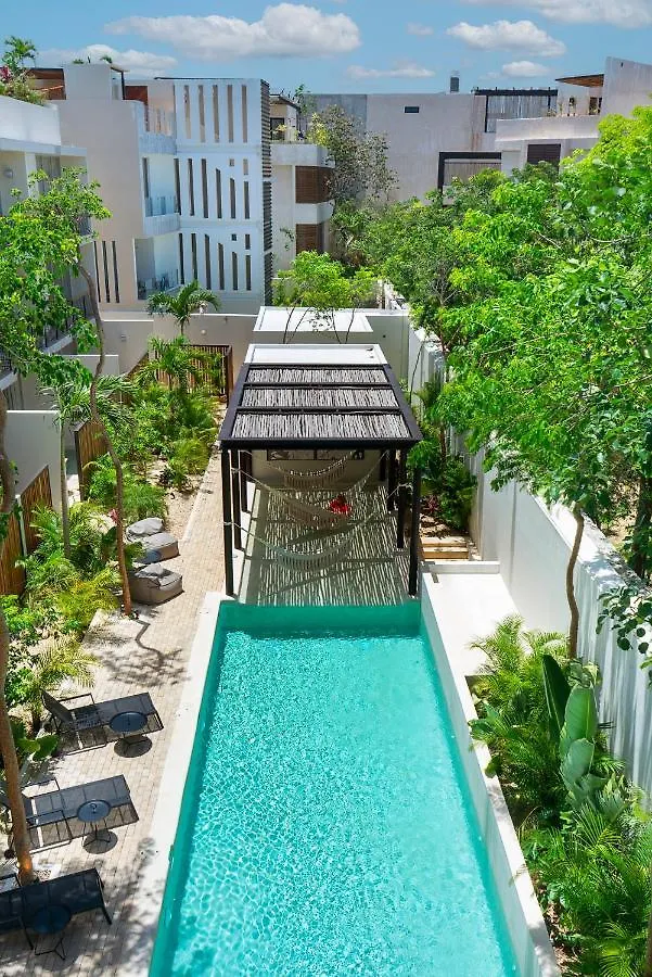 Private Pool And Roof Top For 3 In La Veleta Tulum Apartment