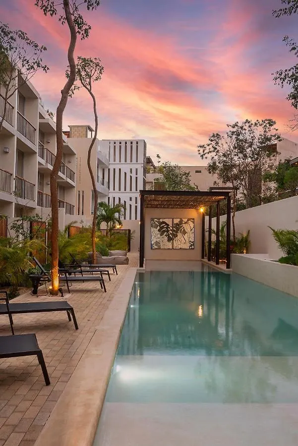 Private Pool And Roof Top For 3 In La Veleta Tulum