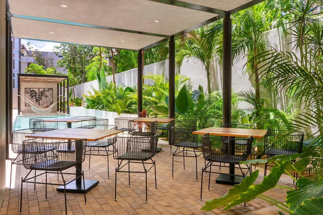 Apartment Private Pool And Roof Top For 3 In La Veleta Tulum Mexico
